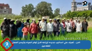 الآن.. تعرف على أساليب جديدة لزراعة الأرز توفر المياه وتيسر العمل للفلاحين
